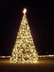 Southport Tree Lighting