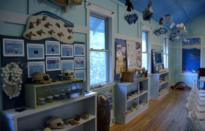 Bald Head Island conservancy Inside